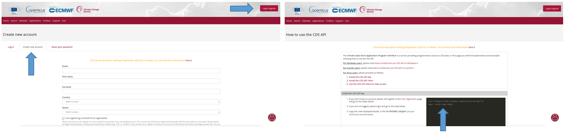 CDS access